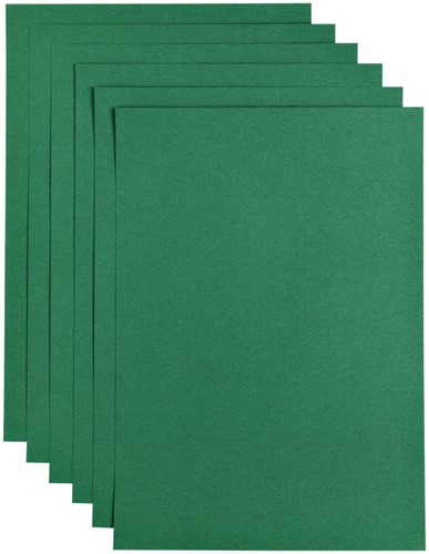 Papier copieur Papicolor A4 100g 12 feuilles vert sapin