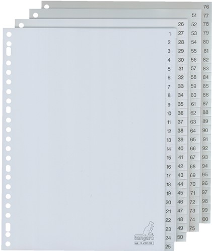 Intercalaires A4 23 perforations