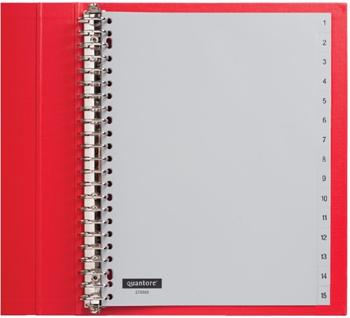 Intercalaires Quantore 23 perf numéro 1-15 gris PP